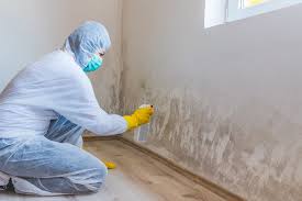 Best Biohazard Mold Removal  in Isla Vista, CA