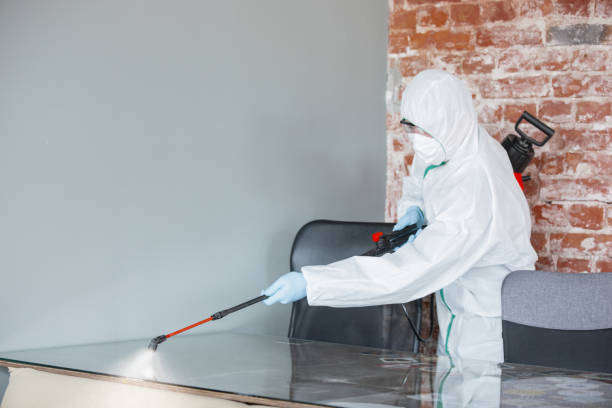 Why You Should Choose Our Mold Remediation Services in Isla Vista, CA